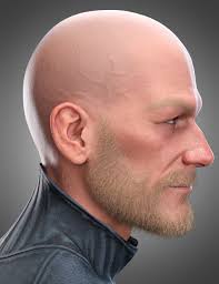 Louie Beard and Brows for Genesis 9 and 8.1 Male