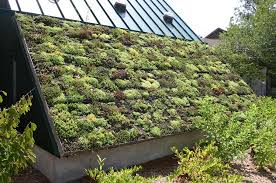 These 12 compounds for sale on trulia are more friendship row than hippy 2.0. 10 Eco Building Materials Revolutionizing Home Construction