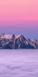 Mac Pink Mountain Background Novocom Top Nature, garden, tree, plant, maple, summer, leaf, season, flower. mac pink mountain background novocom top