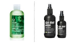 Fill the spray bottle the rest of the way with water. The Benefits And Limitations Of Tea Tree Oil Beautylish