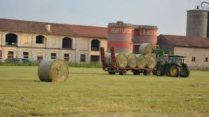 Azienda Agricola La Botanica 