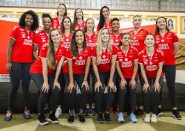 Volei Osasco Tem Novo Elenco Para A Temporada 2019 2020