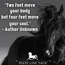 Two Feet Move Your Body Four Feet Move Your Soul Four Feet Move Your Soul Horse Quotes Pretty Horses Horses