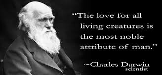 Evolution Quotes - All Quotes Collection via Relatably.com