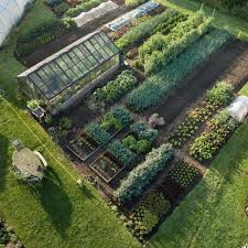 Charles Dowding On Instagram I Have A Drone Edward Took This At 7am Is About 60 Of The Garden Some Be Vegetable Garden Design Garden Design Dream Garden