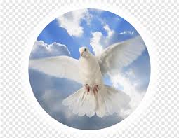 See more ideas about holy spirit, holy spirit images, prophetic art. Holy Spirit Free Icon Library