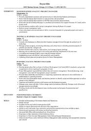 Business Analyst Project Manager Resume Samples Velvet Jobs
