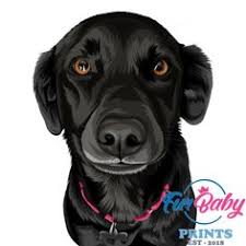 Made from 100% polyester featuring an incredibly soft sherpa fleece backside, a custom pet blanket is fantastic for snuggling on the couch, by the fireplace, or at outdoor events! 53 Pet Portfolios Ideas In 2021 Animals Dog Portraits Pets