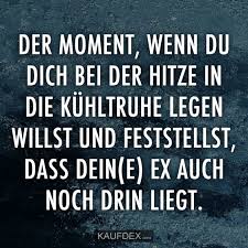 Der Moment Wenn Du Dich Bei Der Hitze In Die Kühltruhe Legen