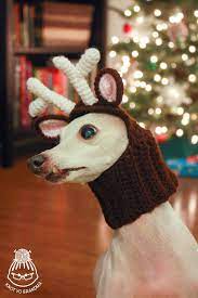 Knot Yo Grandma Diy Crocheted Reindeer Dog Headdress Crochet Dog Clothes Reindeer Dog Crochet Dog Sweater