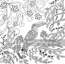 Beside the picture, it is a full of color palette that can be clicked to fill the area of toucan body that you want to color. Toucan Coloring Page Clipart 1 566 198 Clip Arts
