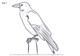 Pin On Paper Cloth Collage