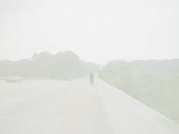 Francine , hayley , steve , roger , klaus , jeff , avery bullock , dick. Paul Graham Exhibitions Les Rencontres D Arles