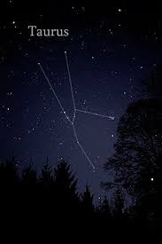 Taurus Constellation Wikipedia