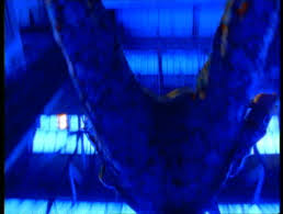 Definition of better than nothing in the idioms dictionary. U2 Video Even Better Than The Real Thing