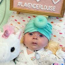 Fundraiser for Jena Abramson by Jane Hare : Baby Lavender Wants to Go Home