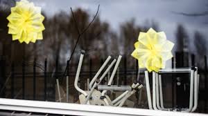 The only independent world health organization (who) recognized one stop platform for verified data and news. Steeds Meer Bekend Over Britse Variant Besmettelijker Maar Onzekerheid Blijft Nos