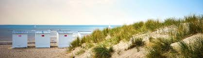 Meerdorp 13, meer, 2321, belgium. Ferienwohnungen Ferienhauser Belgische Nordseekuste Bei Hundeurlaub De