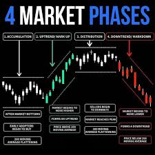 3 phases of indices forex. 4 Market Phases Stock Trading Strategies Stock Market Forex Trading Quotes