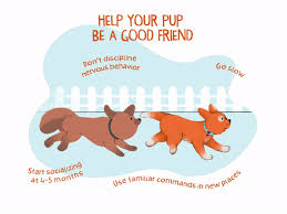 This is a landmark location not named on the map. Socializing Your New Puppy Banfield Pet Hospital