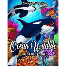 Upload is for promotional purposes only. Buy Ocean Wildlife Coloring Book An Adult Coloring Book Featuring Beautiful Sea Animals Tropical Fish Coral Reefs And Ocean Wildlife For Stress Relief And Relaxation Paperback March 2 2021 Online In Turkey B08xxzxq53
