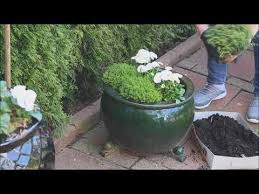 Garten Terrassenpflanzung Verliebt In Weiss Grun Barbel S Wohn Deko Ideen Youtube Garten Pflanzen Diy Pergola