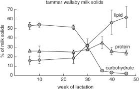 Lactation An Overview Sciencedirect Topics