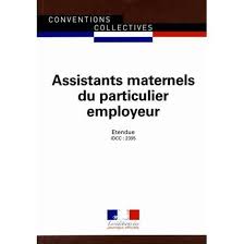 1 contrat de travail entre parents et assistant maternel nom et prénom de l'enfant les relais assistants maternels de tarn et garonne vous proposent ce modèle de contrat de travail. Assistants Maternels Du Particulier Employeur Cdiscount Librairie