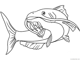Fishes coloring sheets are very popular with kids, who take immense pleasure drawing and painting these aquatic creatures. Catfish Coloring Pages Animal Printable Sheets Catfish 13 2021 0950 Coloring4free Coloring4free Com