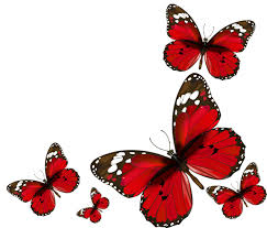 Check spelling or type a new query. Transparent Background Red Butterfly Png Novocom Top