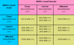 Mdr1