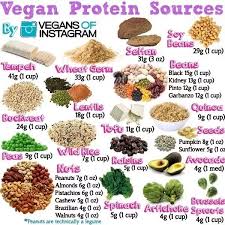 How Can A Vegan Afford 100g Of Protein Per Day Quora