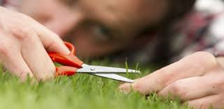 نتیجه جستجوی لغت [perfectionist] در گوگل