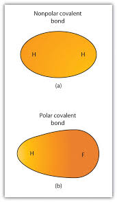 Polarity is resulting from unequal sharing of electrons. Ch105 Chapter 4 The Shape And Characteristics Of Compounds Chemistry
