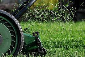 Pin On Lawn
