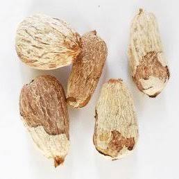 PDF) Rambutan Seed (Nephelium Lappaceum L.) Optimization as Raw Material of High Nutrition Value Processed Food