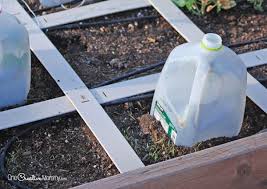 One Simple Tool To Protect Plants From Frost Onecreativemommy Com Frost Protection For Plants Plants Diy Plants