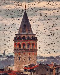 7 580 Begenme 163 Yorum Instagram Da Mehmet Ali Sahin Mehmetshhn Galata Serisi Mi Kus Serisi Mi Desem Bile 2020 Seyahat Fotografciligi Istanbul Hagia Sophia