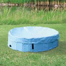 Piscines Pour Chiens Piscine Pour Chiens Protection De Piscine Pour Chiens
