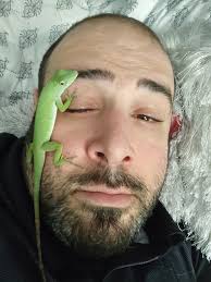 What would Dorito the lizard be called if he broke out of his cage and  committed crimes?