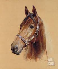 Legend Best Mate Limited Edition Susan Crawford Art Com Horse Art Print Pictures To Draw Horse Art