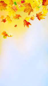14 Iphone Wallpapers To Fall In Love With Autumn Preppy Wallpapers Fall Wallpaper Iphone Wallpaper Fall Preppy Wallpaper