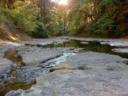 The first step is finding the right spot in the river where the gold might collect, such as a crook in the bedrock, idle pools, log jams, inside corners of rivers or spaces between boulders. Where To Find Gold In Oregon Plus 3 Public Access Locations Oregon Travel Oregon Panning For Gold