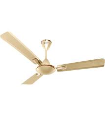 Buy Gratia 900 Mm Metallic Ivory Ceiling Fan By Orient Online Ceiling Fans Fans Homeware Pepperfry Product Ceiling Fan Modern Exterior House Designs 3 Blade Ceiling Fan