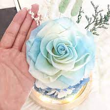 最正嘅係真花 都能夠保存3 4年仲可以人手刻字 禮物 ff巨型玫瑰系列同款更多顏色除左送俾情人仲可以用黎做生日禮物畢業禮物結婚禮物店舖擺設都好大方得體啊現貨最正嘅係 真花都能夠保存3 4年仲可以人手刻字