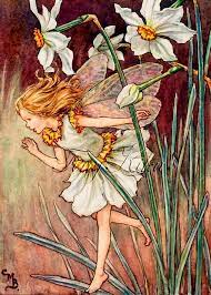 Narcissus Fairy Vintage Cicely Mary Barker Art Print Fabric Block Iron On Heat Transfer Or Waterslide Decal Size Options Flower Fairies Fairy Art Fairy Illustration