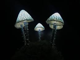 Blue Mushroom Lamp Mushroom Night Light Psychedelic Lamp Etsy In 2020 Mushroom Lamp Glowing Mushrooms Mushroom Lights