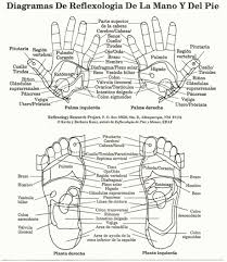 Reflexology Bookstore
