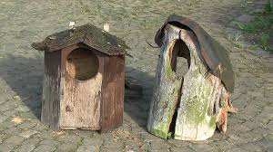 Wenn sie in ihrem garten demnächst einen baum fällen wollen, heben sie einfach ein entsprechend großes stammstück mit astgabeln auf. Nisthilfen Fur Eulen In Pratteln 2013 Youtube