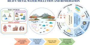 Relatively high density ranging from 3.5 to 7 g cm. Heavy Metal Water Pollution A Fresh Look About Hazards Novel And Conventional Remediation Methods Sciencedirect